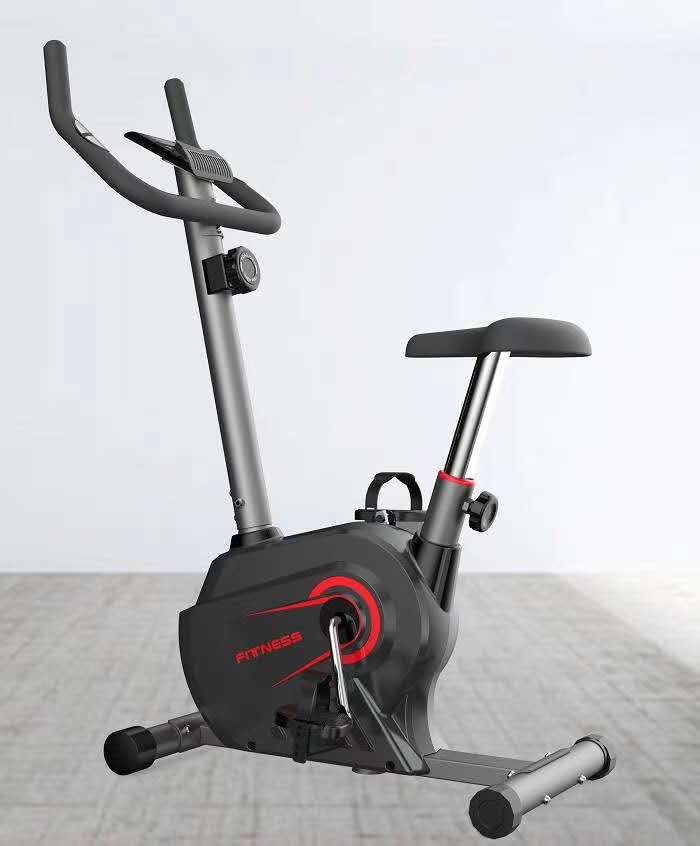 Purilite Select Magnetic Bike Model 8601