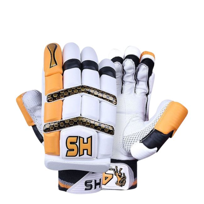 HS 41 Cricket Kit Play with the Gear of Champions