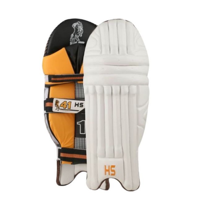 HS 41 Cricket Kit Play with the Gear of Champions