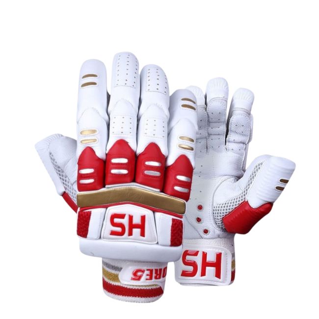 HS Core 5 Cricket Kit Built for Professionals, Endorsed by Champions