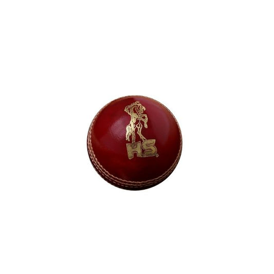 HS Spark 300 Red Cricket Ball (Pack of 6)