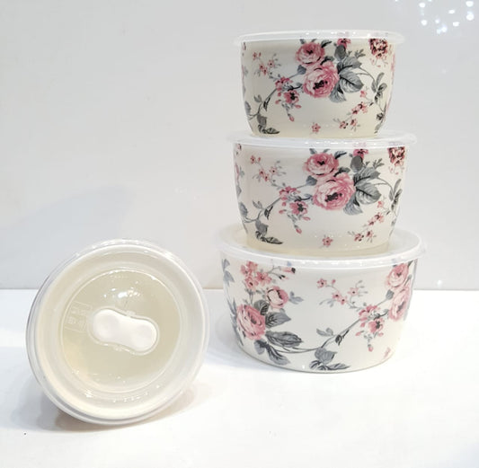 4 Pcs Ceramic Sealed Ware Bowl Set with Plastic Lid Microwave Safe