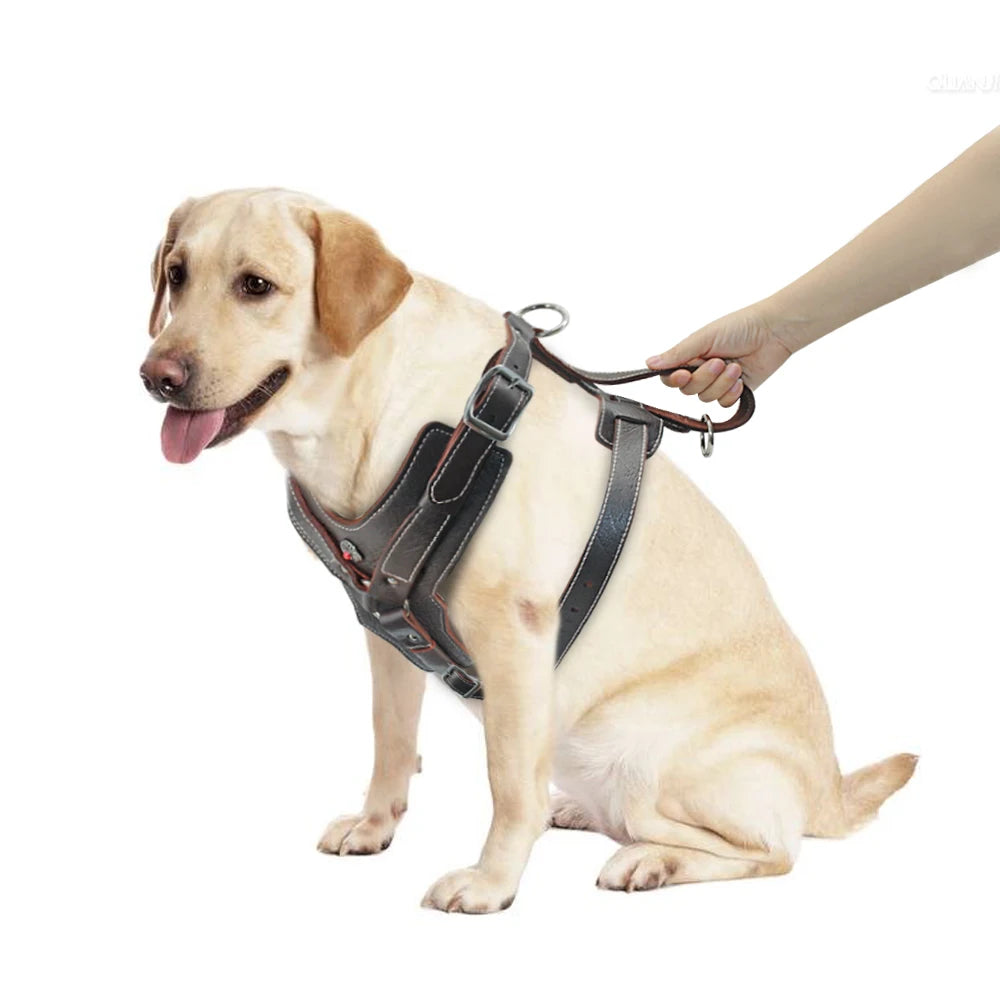 Purilite Select Durable Leather Dog Harness