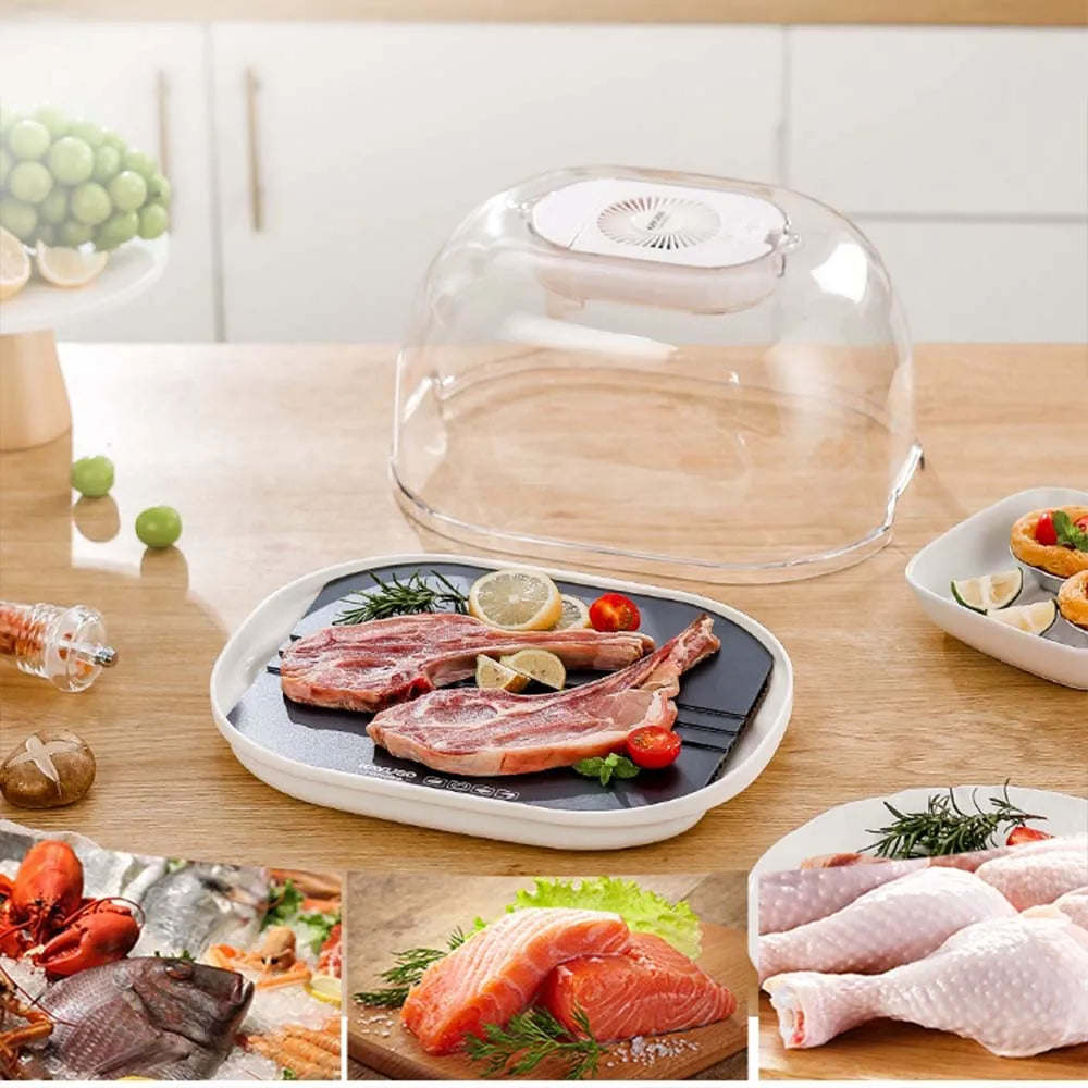 Purilite Select Multifunctional Kitchen Food Thaw Machine Fast Defroster for Meat and Frozen Foods