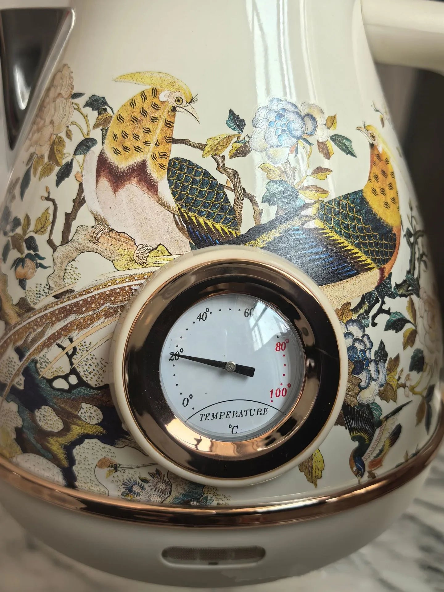 Purilite Select – 1.7L Retro Stainless Steel Electric Kettle with Thermometer