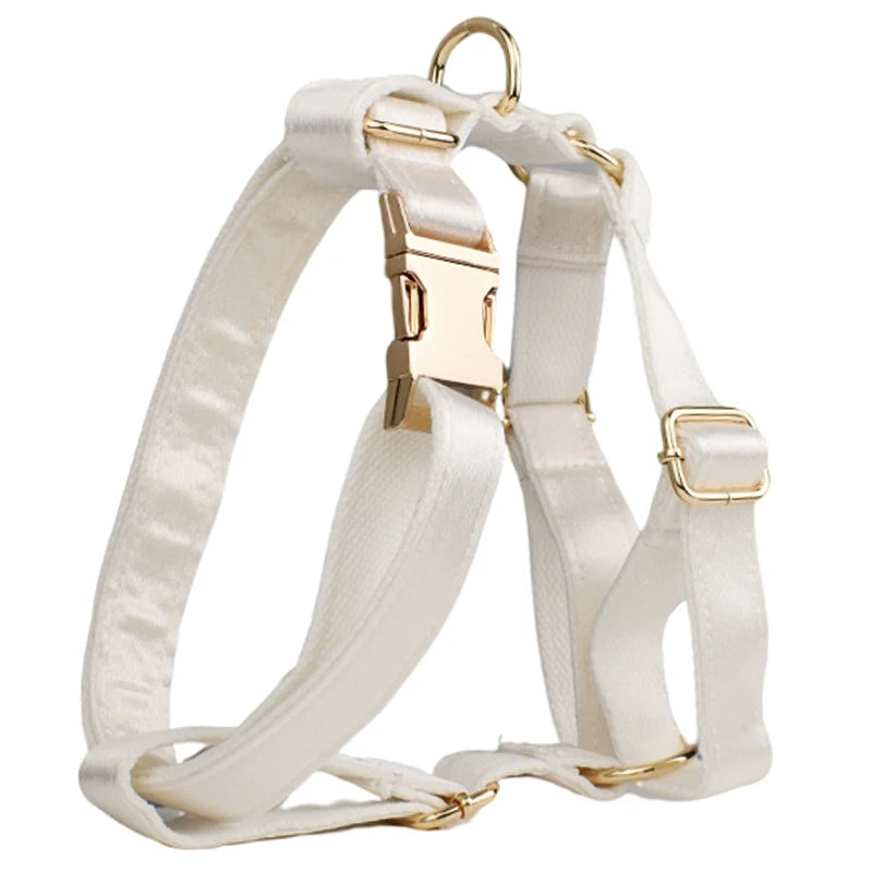 Purilite Select Custom Design Dog Collar, Leash, Harness & Bow Set