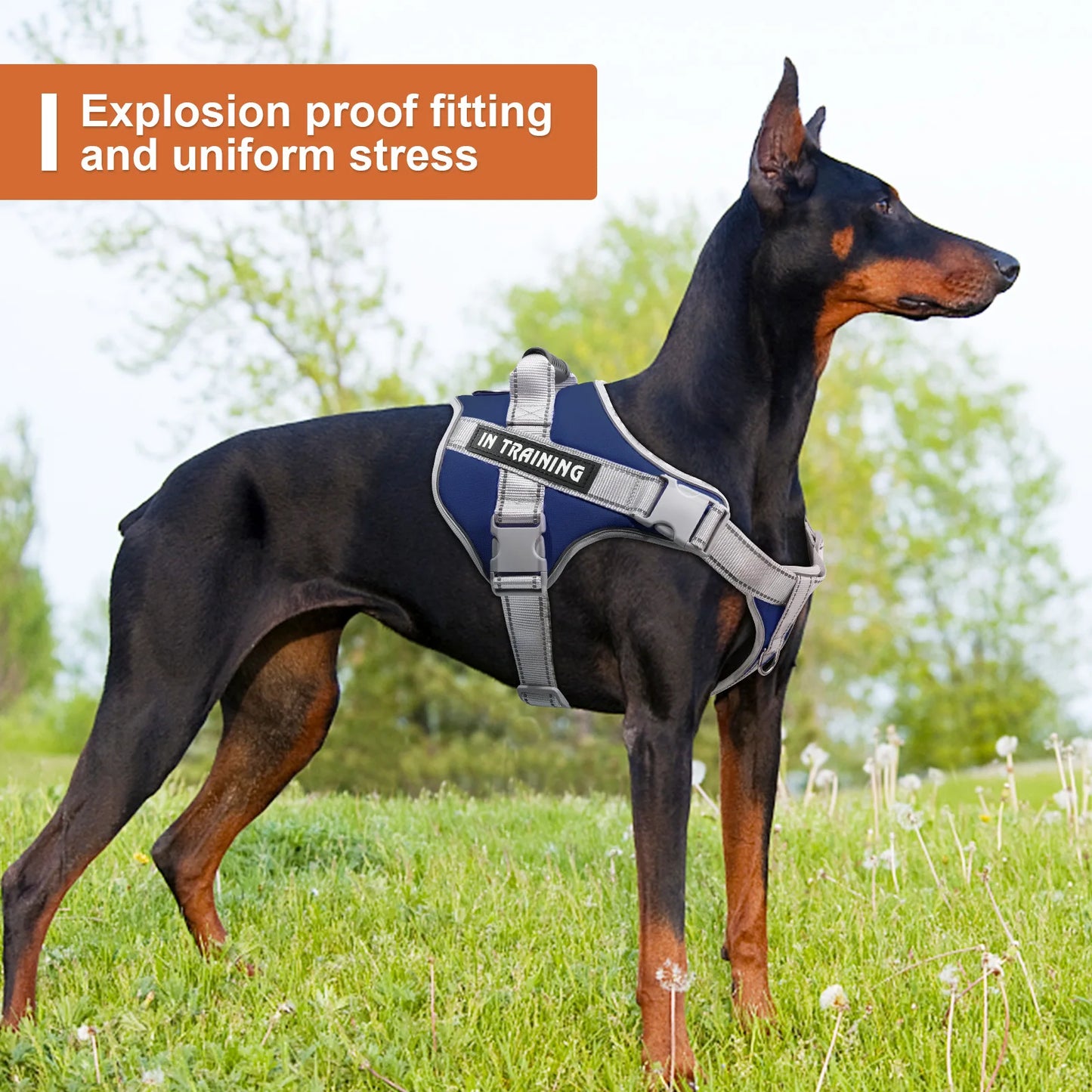 Purilite Select No-Pull Dog Vest Harness