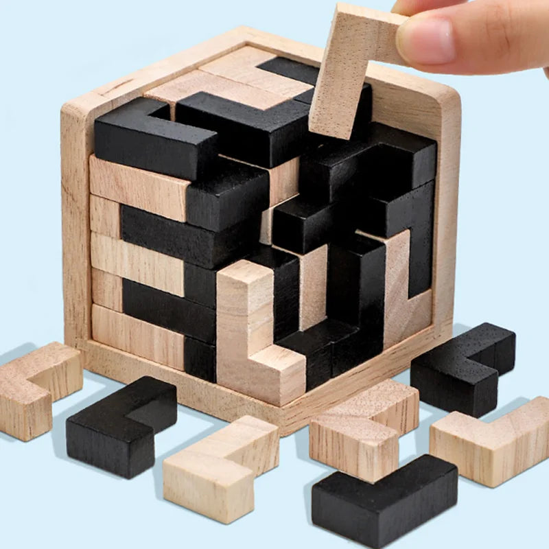 Purilite Select 3D Cube Luban Puzzle