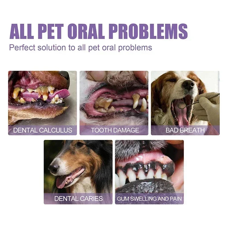 Purilite Select Pet Teeth Cleaning Pen