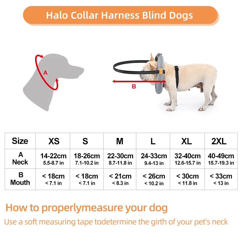 Purilite Select Blind Dog Safety Collar