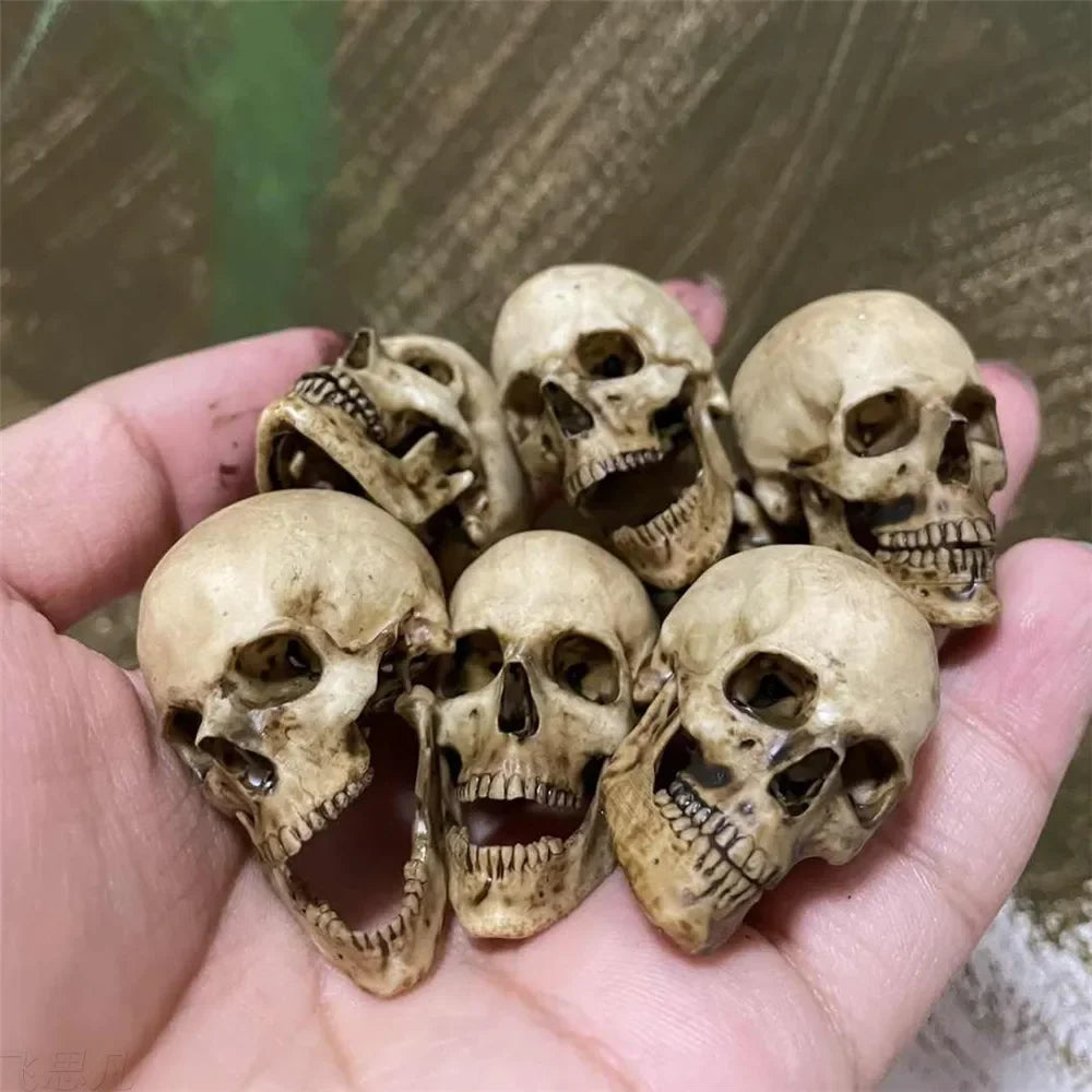 Purilite Select 1:6 Scale 3D Printed Realistic Skeleton Head