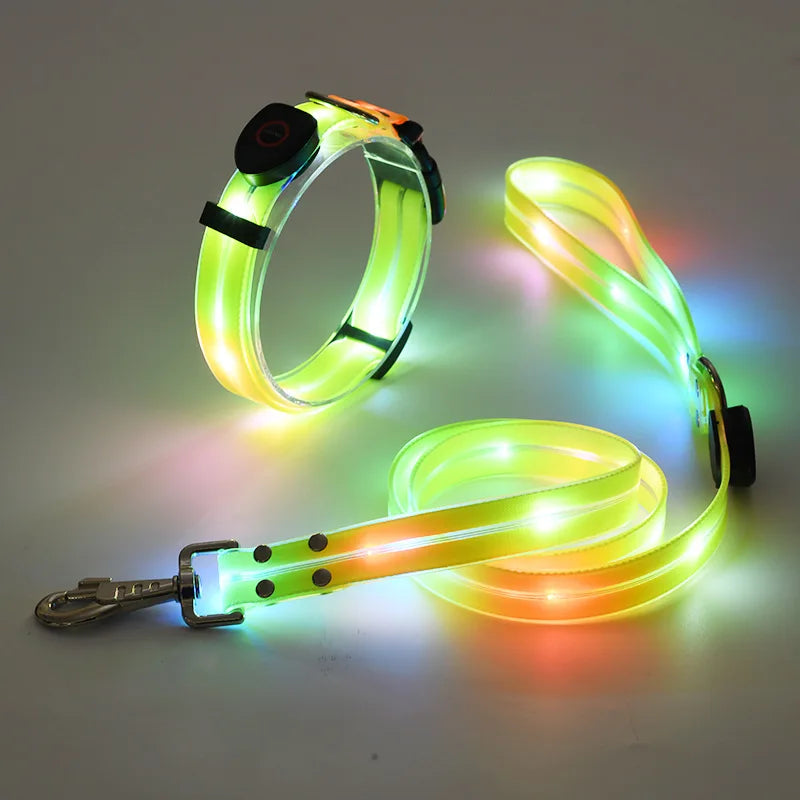 Purilite Select LED Light-Up Dog Leash & Collar