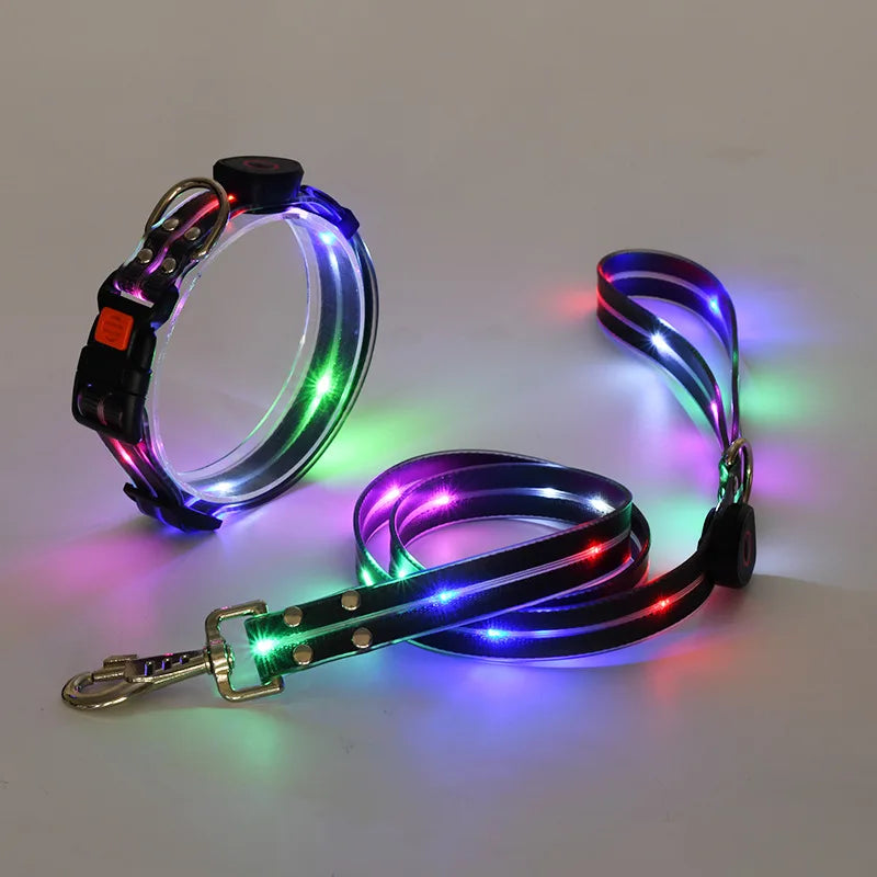 Purilite Select LED Light-Up Dog Leash & Collar