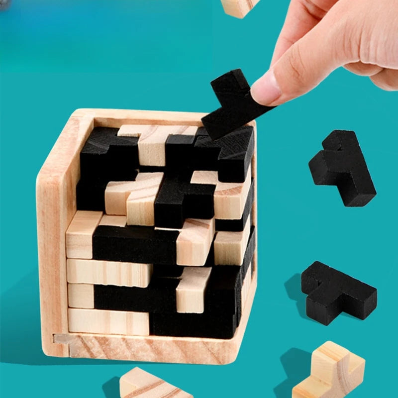 Purilite Select 3D Cube Luban Puzzle