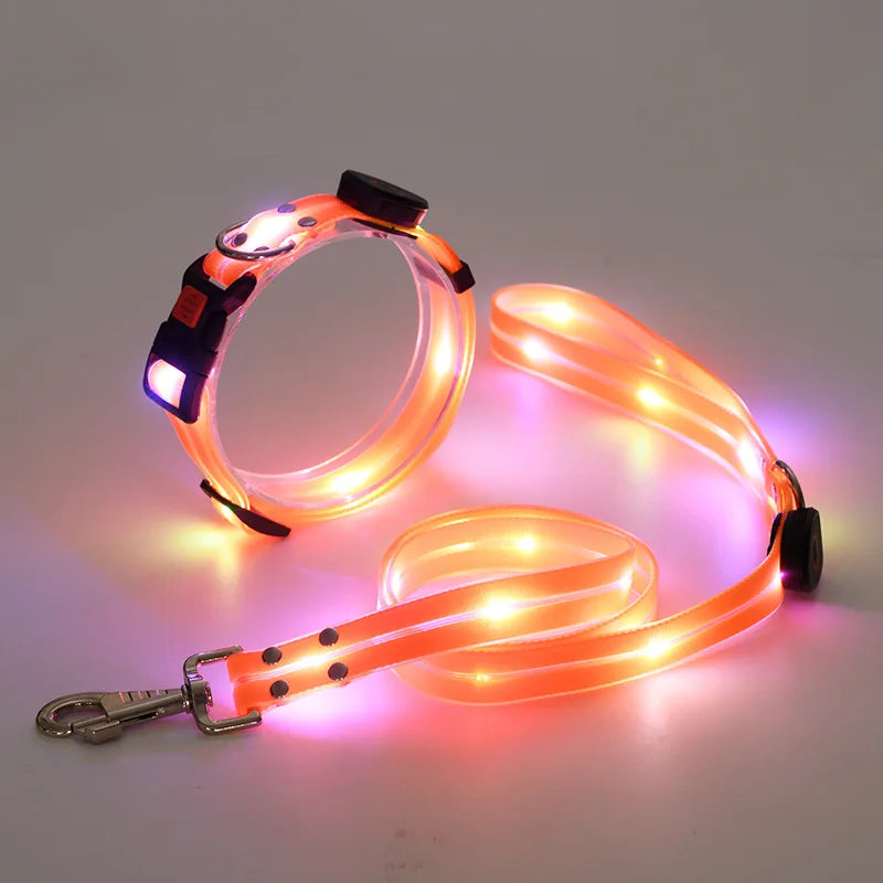 Purilite Select LED Light-Up Dog Leash & Collar