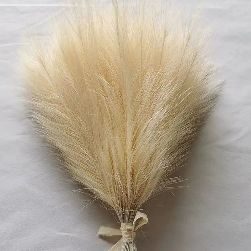 Purilite Select Fluffy Pampas Grass