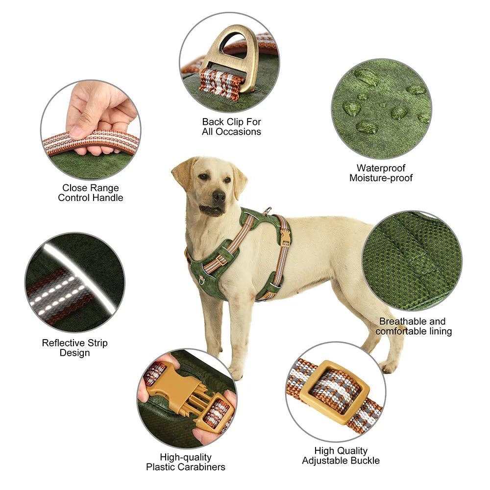 Purilite Select Waterproof Reflective Dog Harness