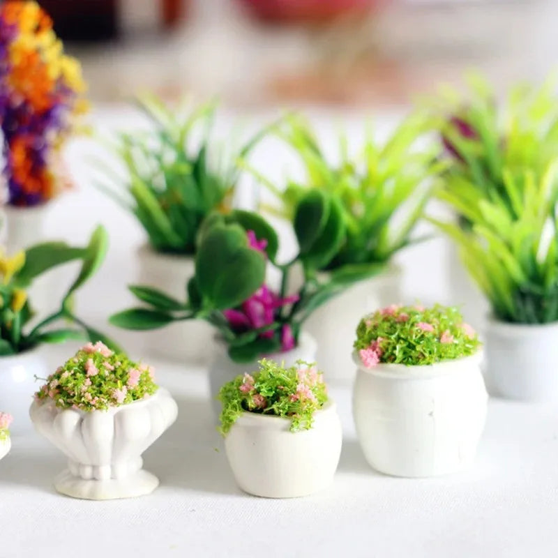Purilite Select 5Pcs Mini Dollhouse Flowerpots