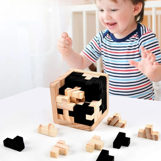 Purilite Select 3D Cube Luban Puzzle