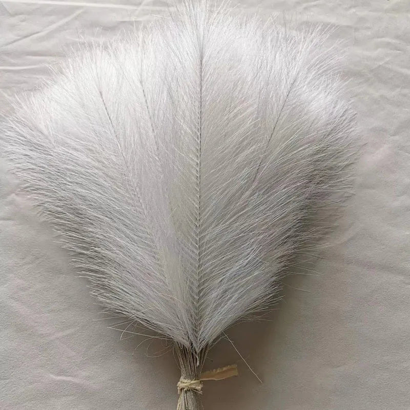 Purilite Select Fluffy Pampas Grass