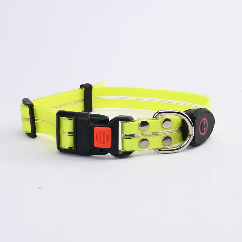 Purilite Select LED Light-Up Dog Leash & Collar
