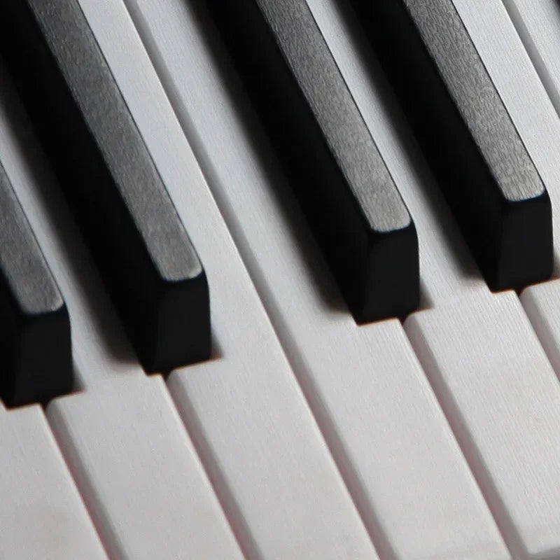 Purilite Select Rechargeable Electronic Organ 61 Keys Children’s Musical Piano with Microphone