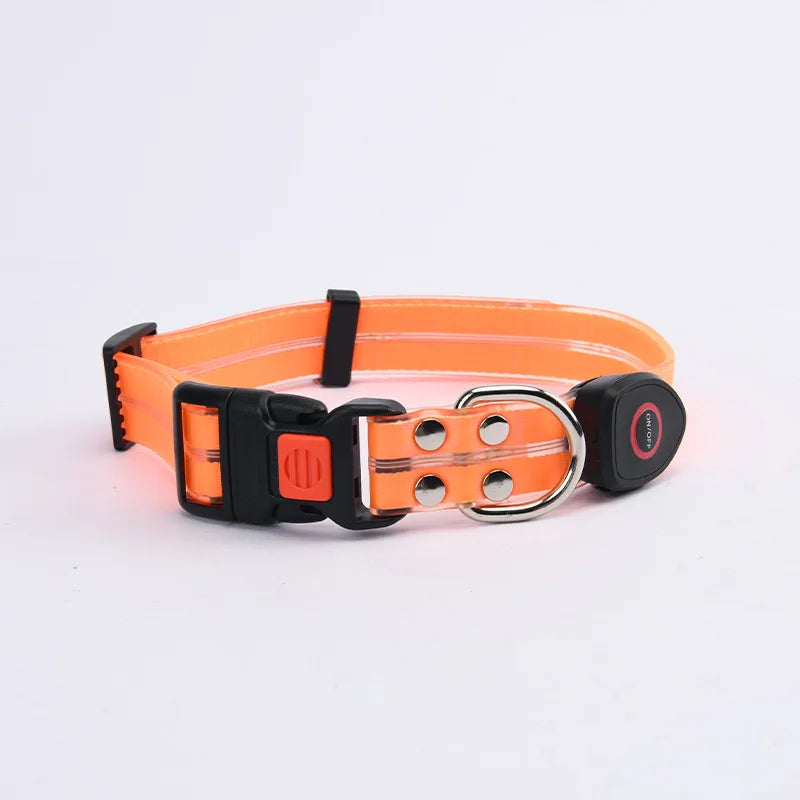 Purilite Select LED Light-Up Dog Leash & Collar