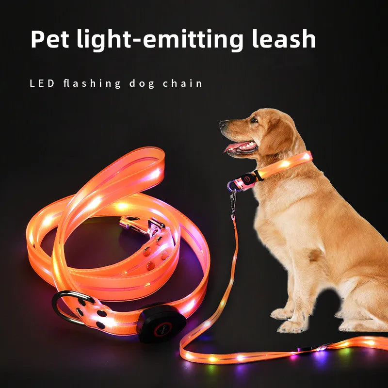 Purilite Select LED Light-Up Dog Leash & Collar