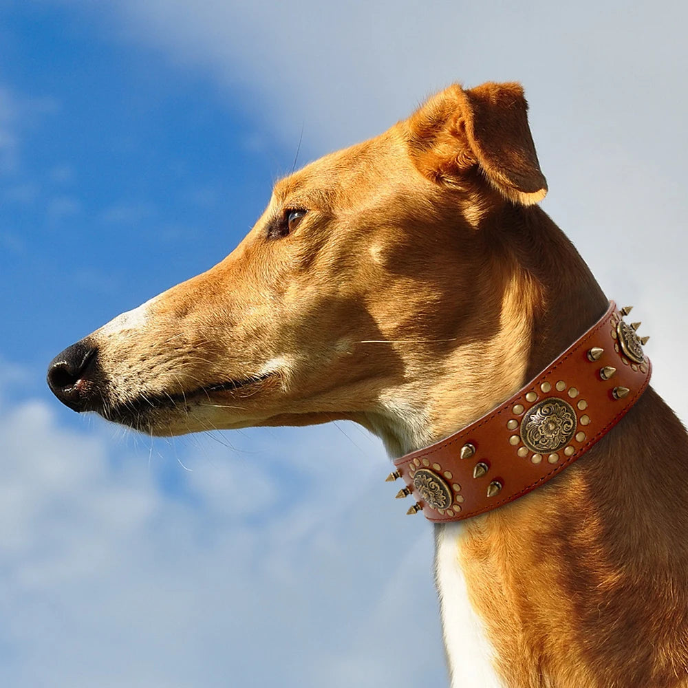 Purilite Select Leather Large Dog Collar