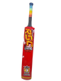 RSC Cricket Bat