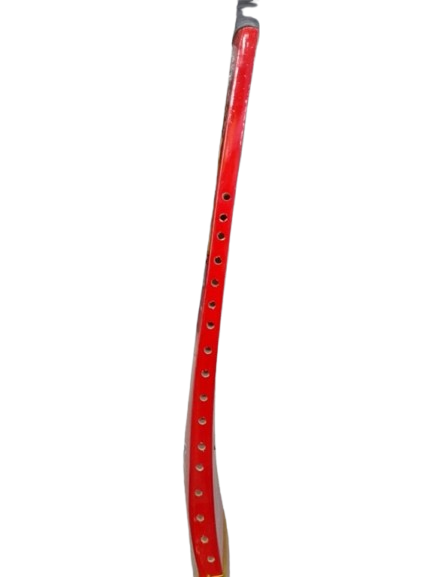 RSC Cricket Bat