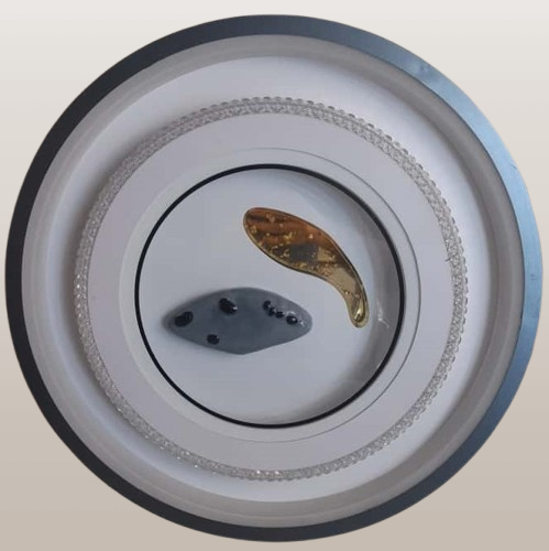 Acrylic Glass Flat Light