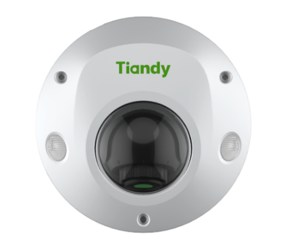 TC-C32PS Spec:I3/E/Y/M/H/2.8mm/V4.2 Tiandy Pro SMD Mini Dome 2MP Fixed 2.8mm IP67 Support Tripwire, perimeter+Human Vehicle Classification, Full Metal