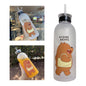 Frosted Water Bottle with Leakproof Lid