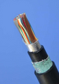 Armoured 20 Pairs Telephone Cable - (0.6mm)Mtr