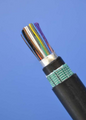 Armoured 30 Pairs Telephone Cable - (0.6mm)Mtr