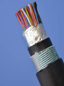 Armoured 100 Pairs Telephone Cable - (0.6mm)Mtr