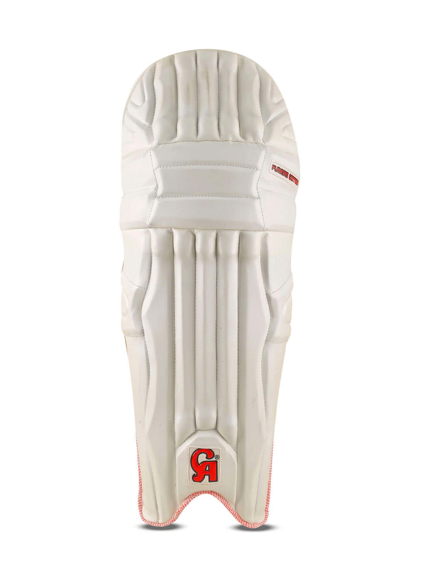 CA 5 Cane Armor Cricket Leg Guards