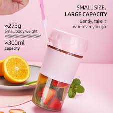 300ml Portable USB Rechargeable Juicer & Smoothie Blender