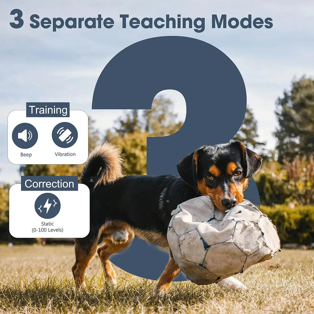 Purilite Select 1 Mile Remote Dog Training Collar