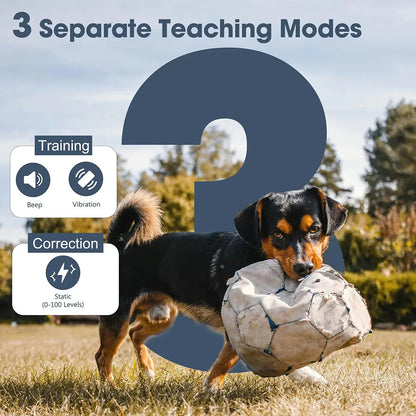 Purilite Select 1 Mile Remote Dog Training Collar