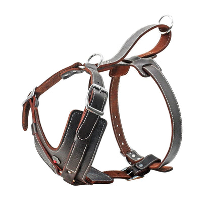 Purilite Select Durable Leather Dog Harness