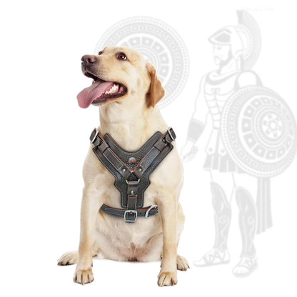 Purilite Select Durable Leather Dog Harness