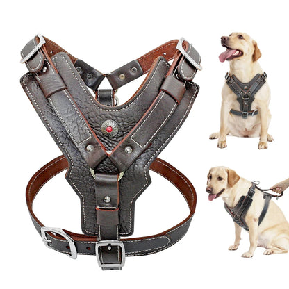 Purilite Select Durable Leather Dog Harness