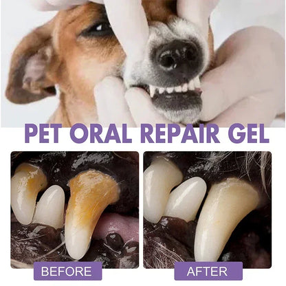 Purilite Select Pet Teeth Cleaning Pen