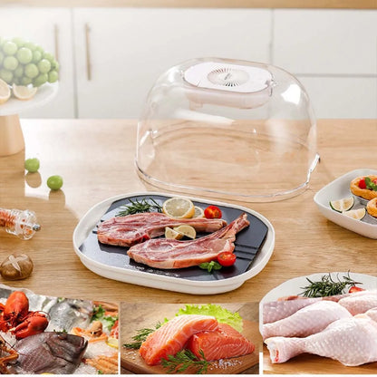 Purilite Select Multifunctional Kitchen Food Thaw Machine Fast Defroster for Meat and Frozen Foods