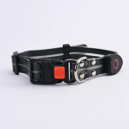 Purilite Select LED Light-Up Dog Leash & Collar