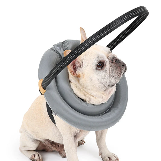 Purilite Select Blind Dog Safety Collar