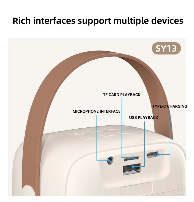 Purilite Select Portable Bluetooth 5.3 Home Karaoke Machine – Powerful Bass PA Speaker System with 2 Wireless Microphones