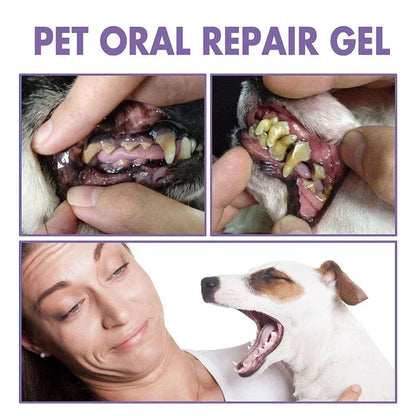Purilite Select Pet Teeth Cleaning Pen